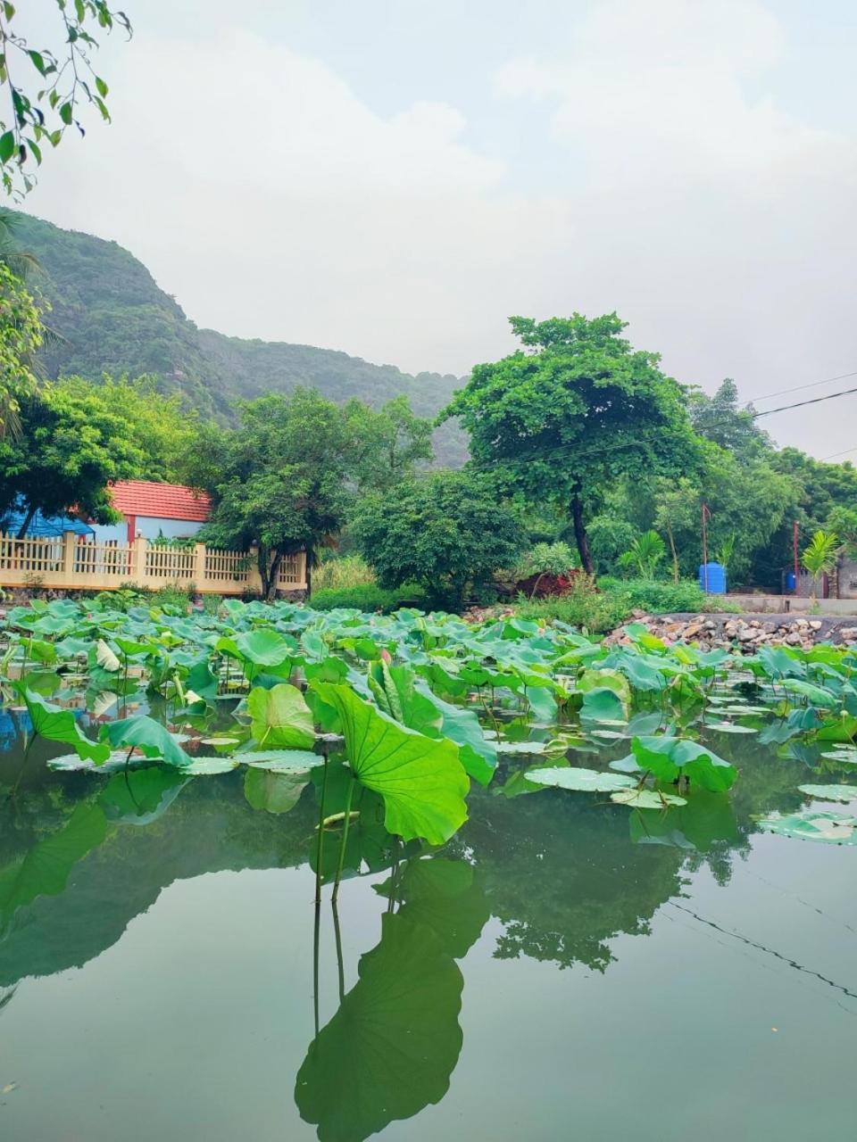 Trang An Natural Mountainside Homestay นิญบิ่ญ ภายนอก รูปภาพ