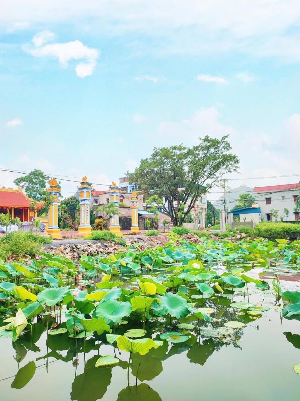 Trang An Natural Mountainside Homestay นิญบิ่ญ ภายนอก รูปภาพ