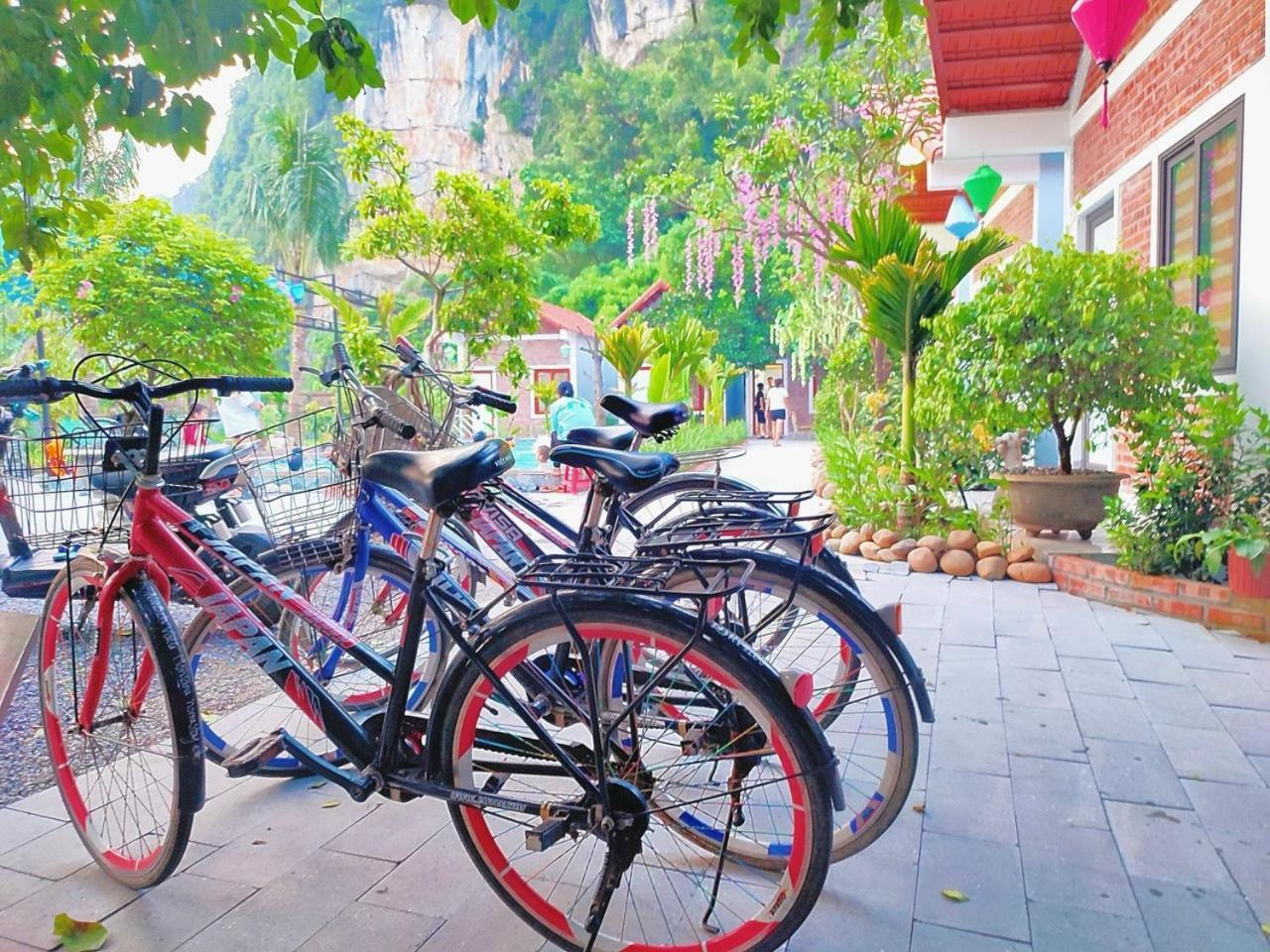 Trang An Natural Mountainside Homestay นิญบิ่ญ ภายนอก รูปภาพ