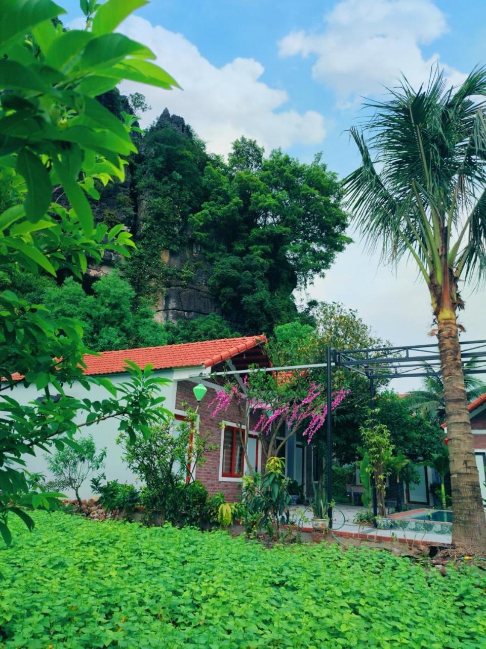 Trang An Natural Mountainside Homestay นิญบิ่ญ ภายนอก รูปภาพ