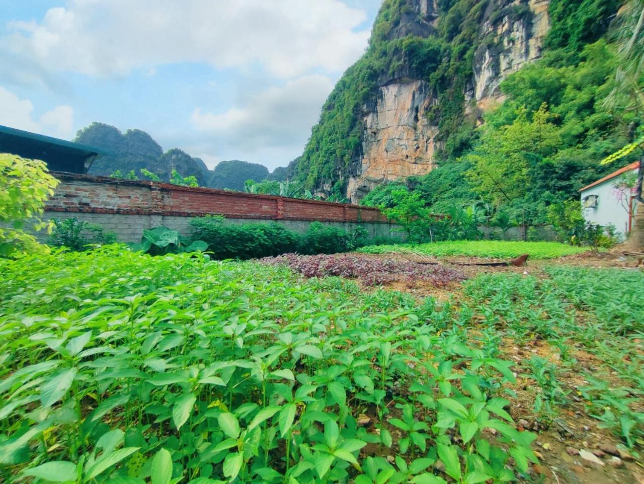 Trang An Natural Mountainside Homestay นิญบิ่ญ ภายนอก รูปภาพ