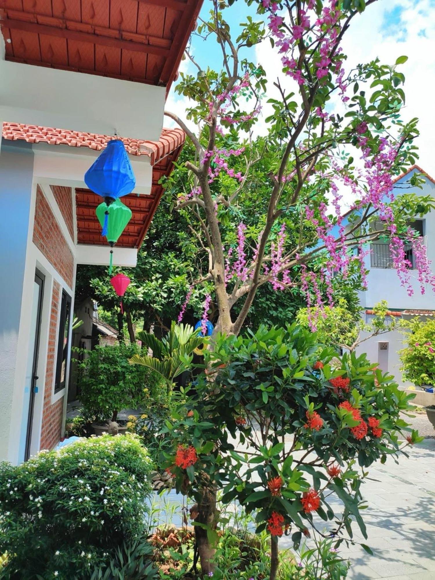 Trang An Natural Mountainside Homestay นิญบิ่ญ ภายนอก รูปภาพ